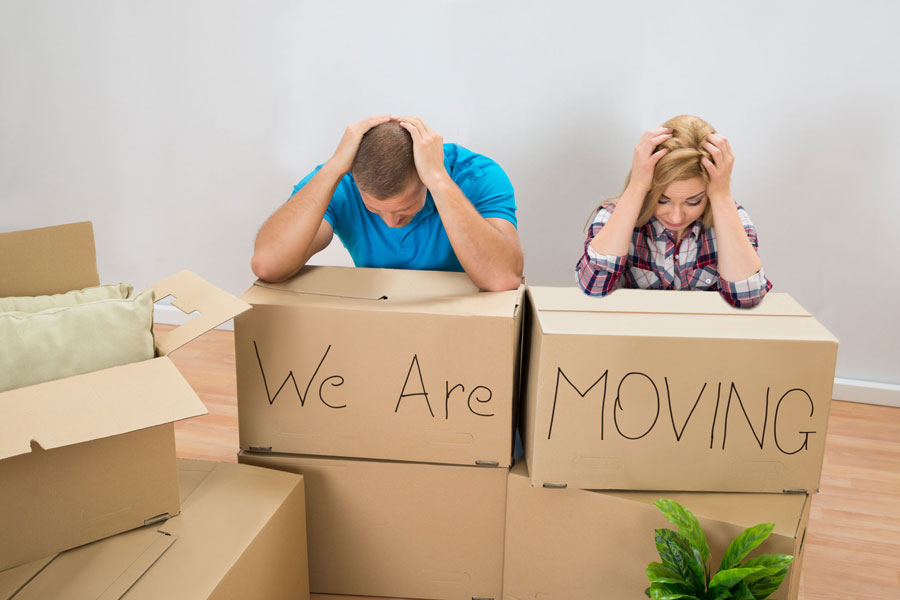 Stress Free Moving to Port Perry Ontario Expert Tips from On the Move